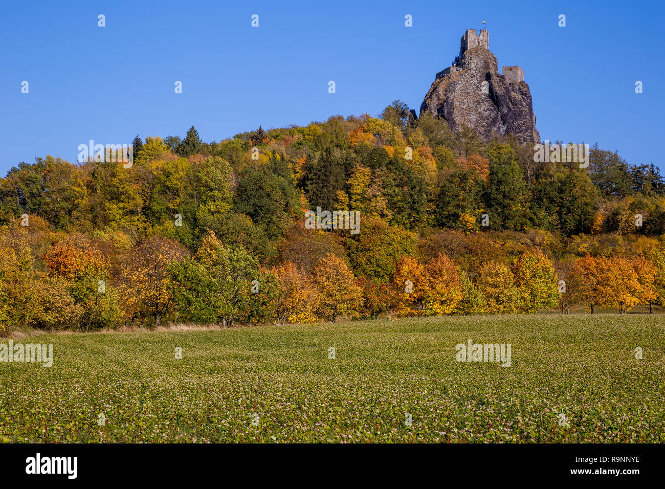 Herbst Landschaft in Böhmen dominierenden die Ruinen einer mittelalterlichen Burg auf einem Hügel und hohe Felsen. Historisches Wahrzeichen der Tschechischen Republik und eine beliebte Stockfoto