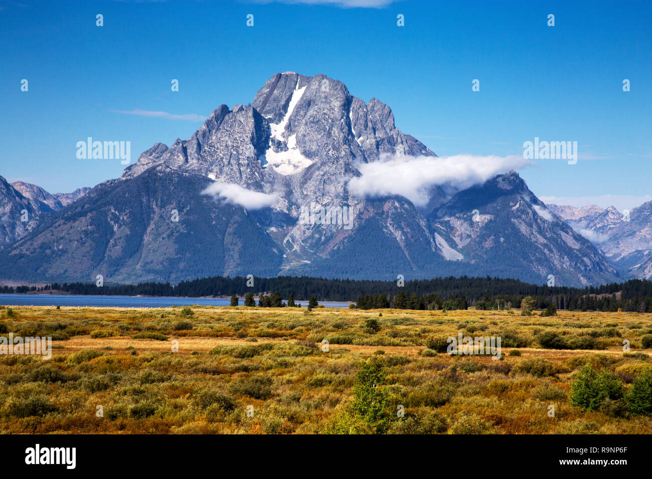 Mount Moran von Willow Flats im Grand Teton National Park, Wyoming Stockfoto