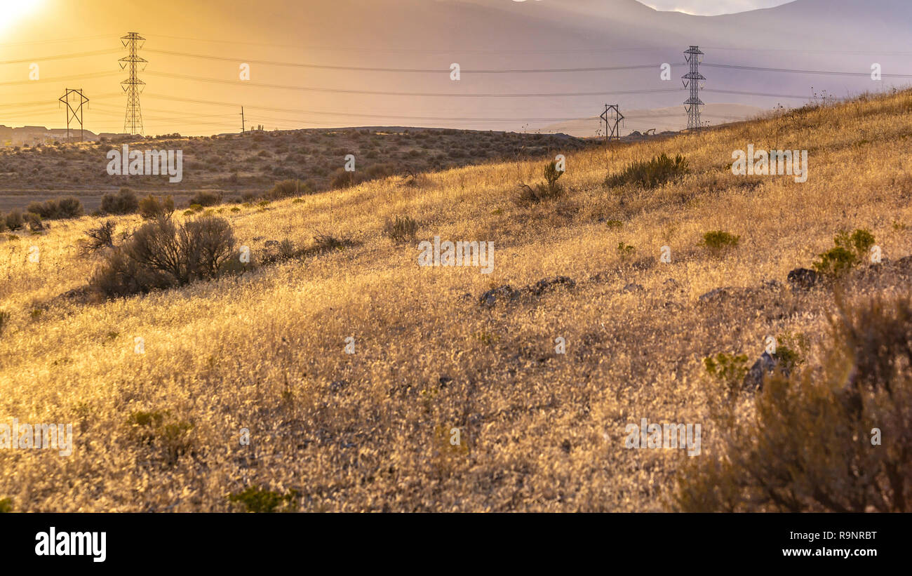 Stromleitungen auf grasbewachsenen Hügel erleuchtet von hellem Sonnenlicht Stockfoto