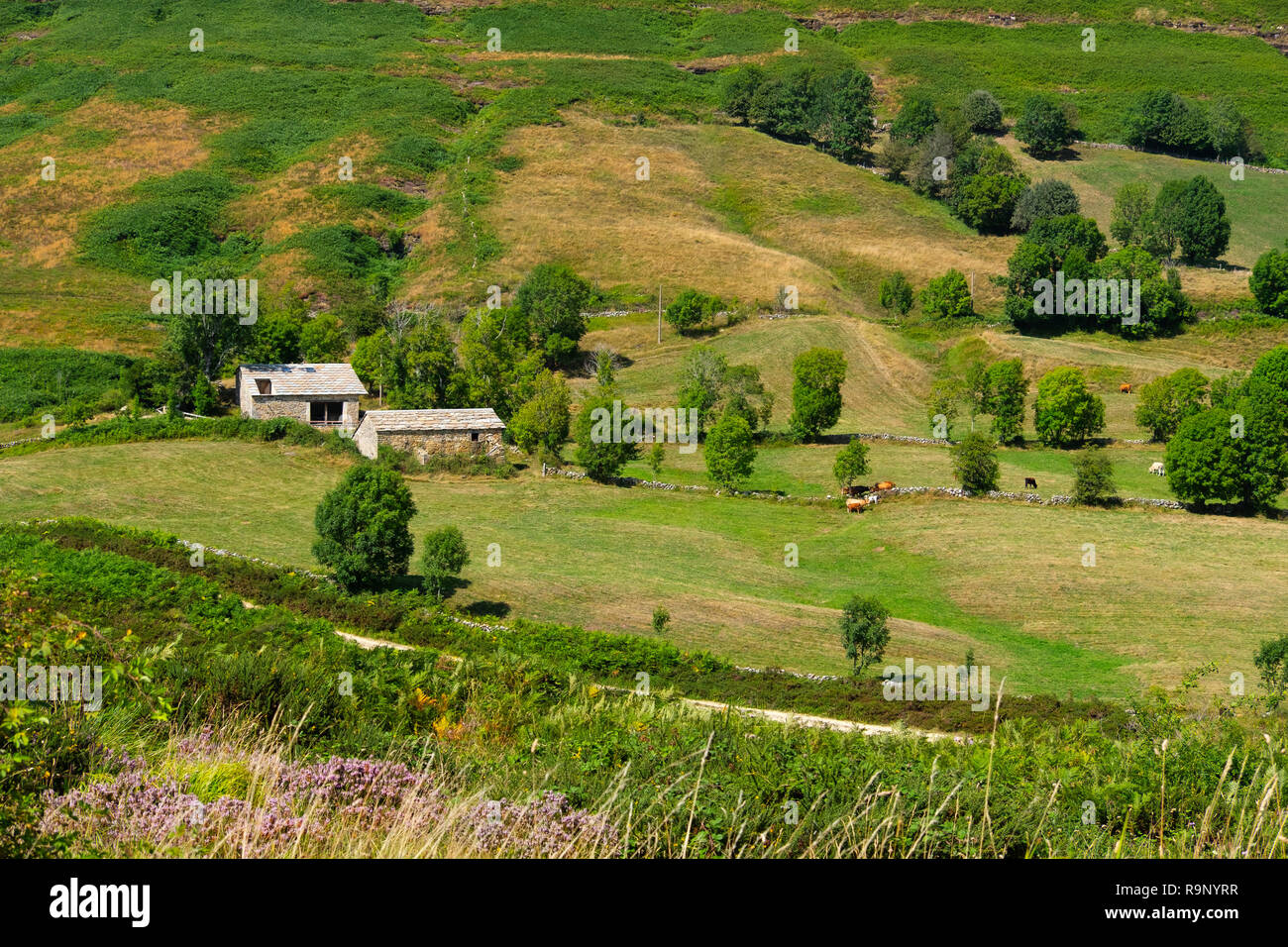 Natur Landschaft. Cabañas pasiegas und Wiesen. Ferienhaus in Las Machorras. Burgos Castilla Leon, Spanien, Europa. Stockfoto