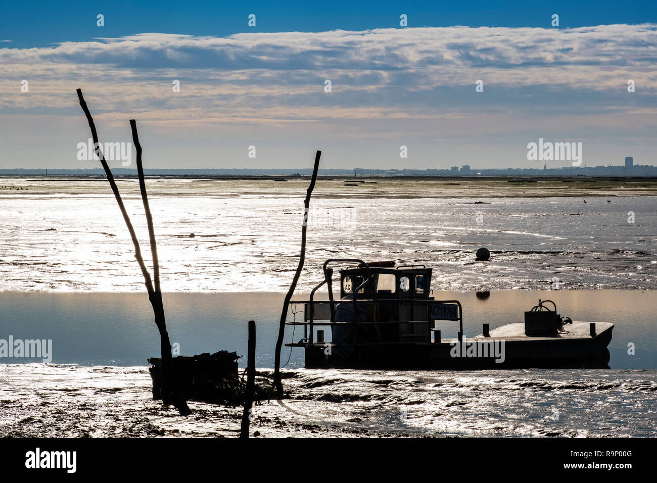 Strand. Die austernzucht, Bucht von Arcachon. Bassin d'Arcachon. Lège-Cap-Ferret, Gironde. Region Aquitanien. Frankreich Europa. Stockfoto