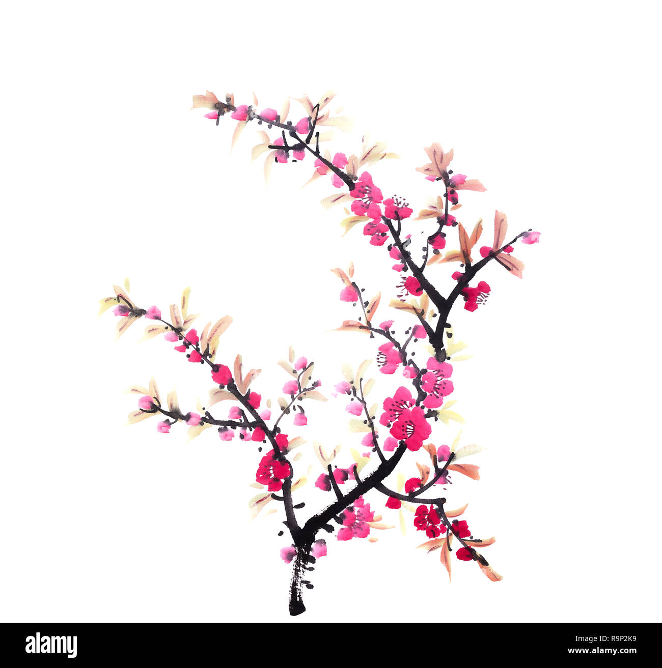 Chinesische Malerei von Blumen, Pflaumenblüten Stockfoto