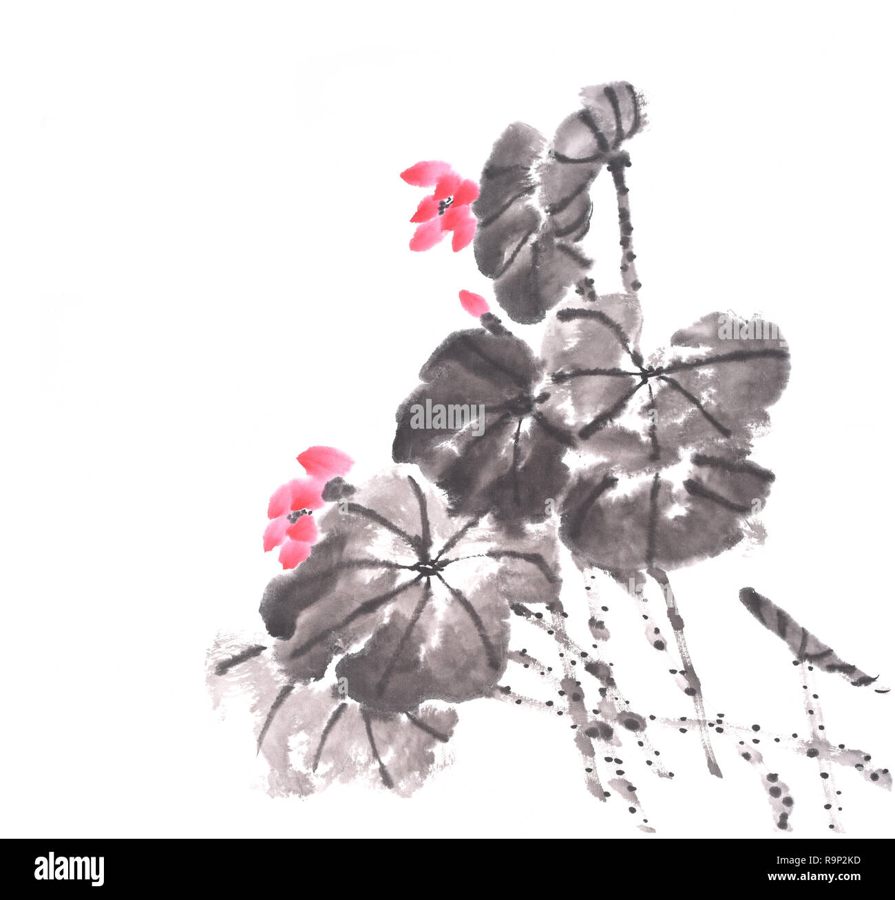 Chinesische Malerei eines Lotus Stockfoto