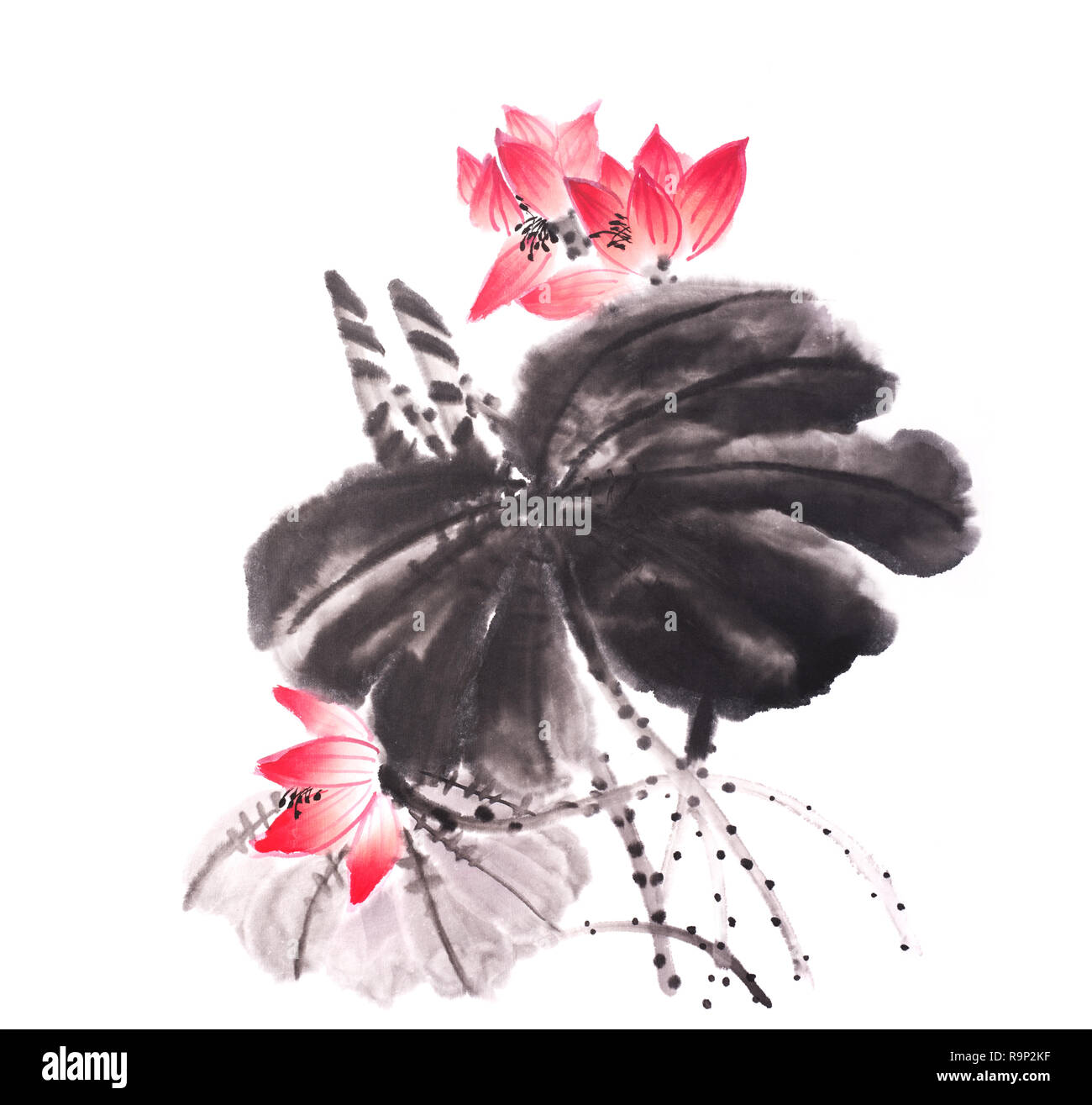 Chinesische Malerei eines Lotus Stockfoto