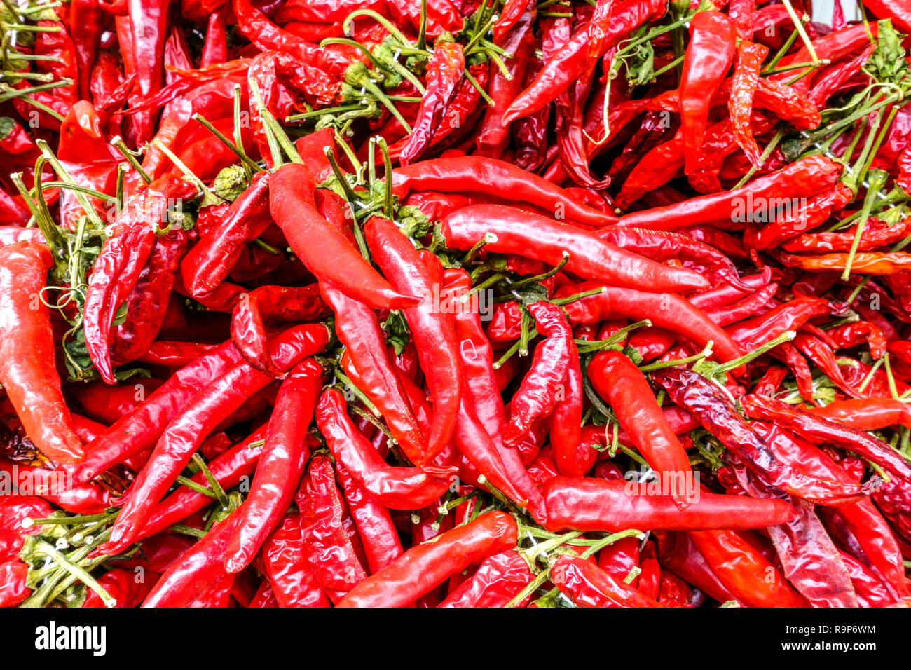 Heiße rote Chilischoten auf dem Bauernmarkt Spanien heiße Paprika Stockfoto