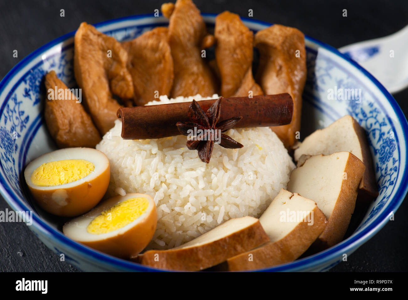 Chinesische Geschmortes Huhn auf Reis mit gekochtem Ei und Tofu Stockfoto