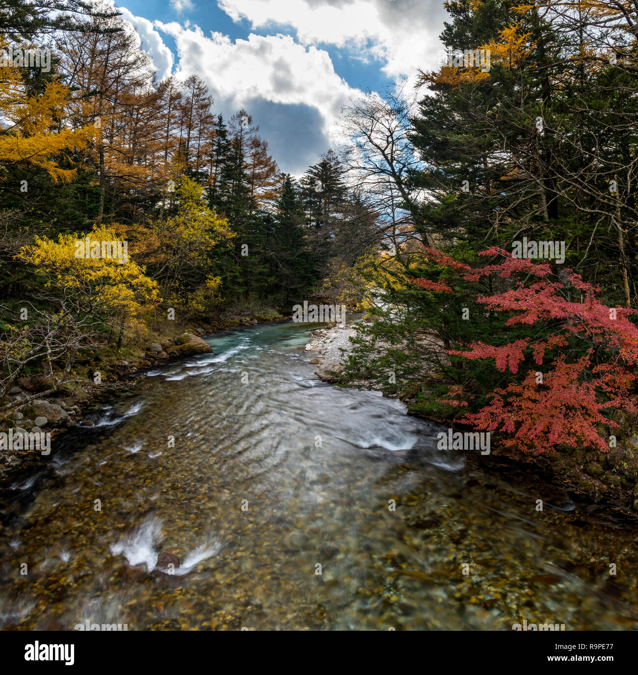 Azusa River in Kamikochi im Herbst, die Japanischen Alpen, Chubu Sangaku National Park Stockfoto