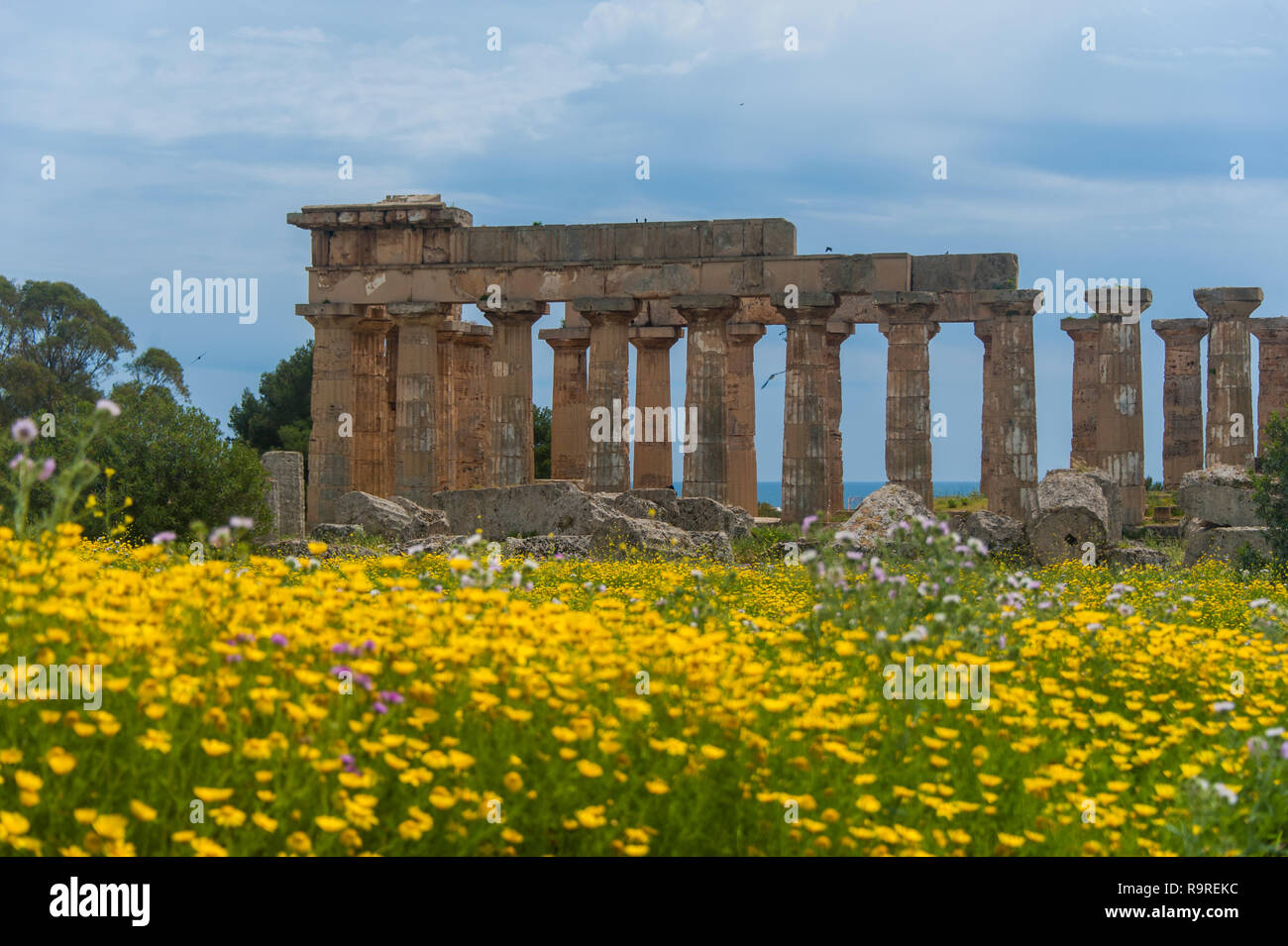 Griechischer Tempel in Selinunt im Frühjahr, Sizilien, Italien Stockfoto