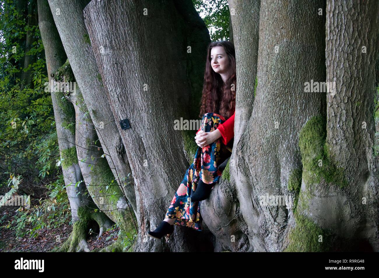 Eine modisch gekleidete Frau lächelt, amüsiert und sitzt zwischen zwei Beech Tree trunks Stockfoto