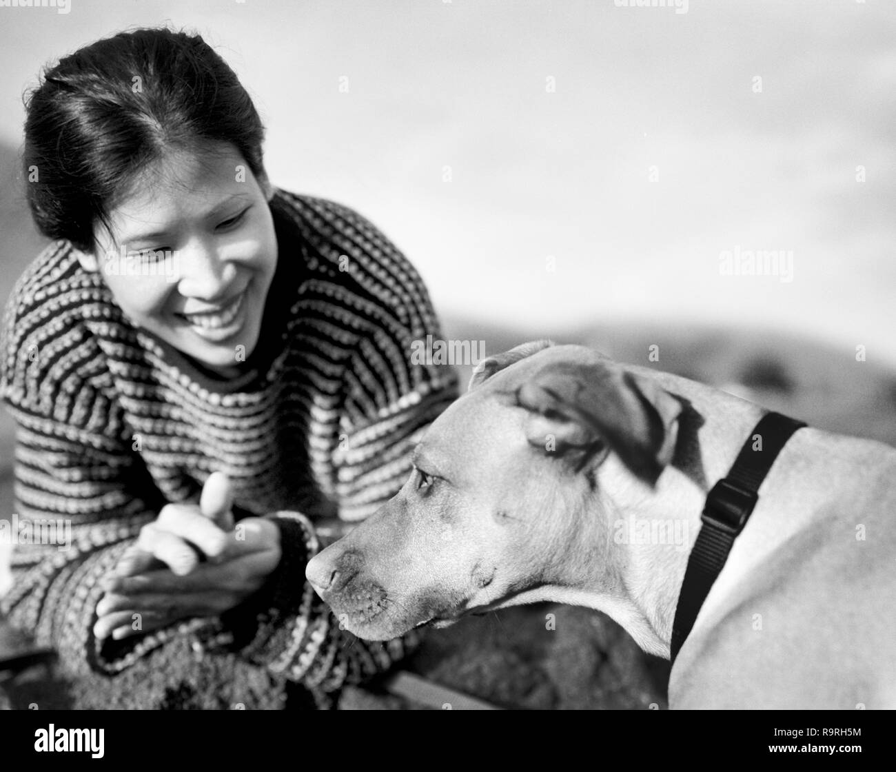 Mitte der erwachsenen Frau glücklich spielen mit Hund draußen. Stockfoto