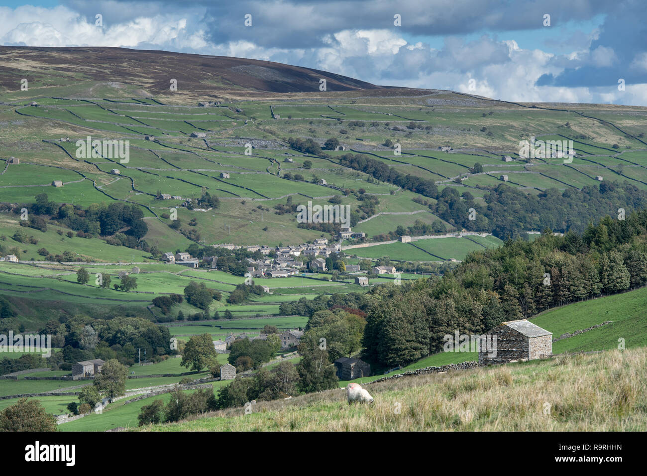 Auf der Suche Swaledale aus Oxnop Gill gegenüber Gunnerside. Yorkshire Dales National Park, Großbritannien. Stockfoto