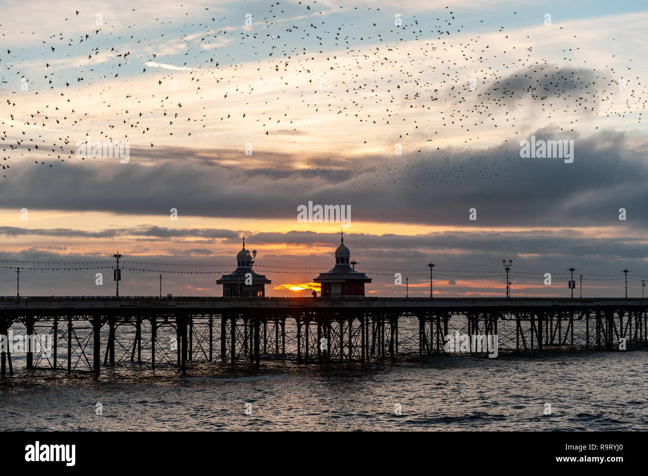 Blackpool, Großbritannien. 28th Dez 2018. Tausende von Staren fliegen in Murmeln um Blackpool North Pier, bevor sie für die Nacht auf den Beinen des Piers aufsteigen. Quelle: AG News/Alamy Live News. Stockfoto