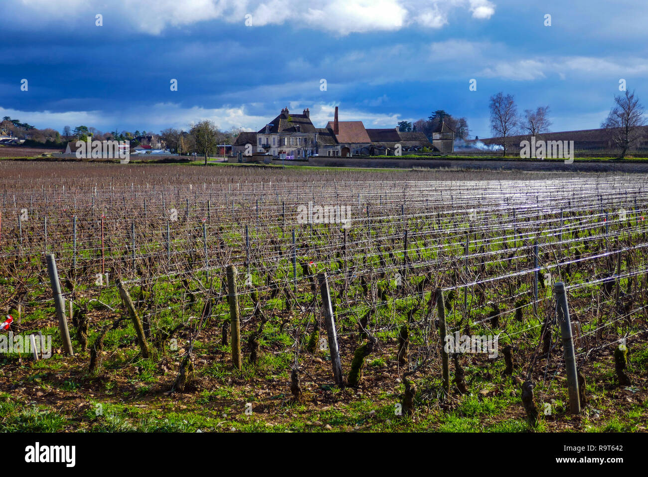 Weinberge im Winter, Beaune, in der Nähe von Dijon, Burgund, Frankreich Stockfoto
