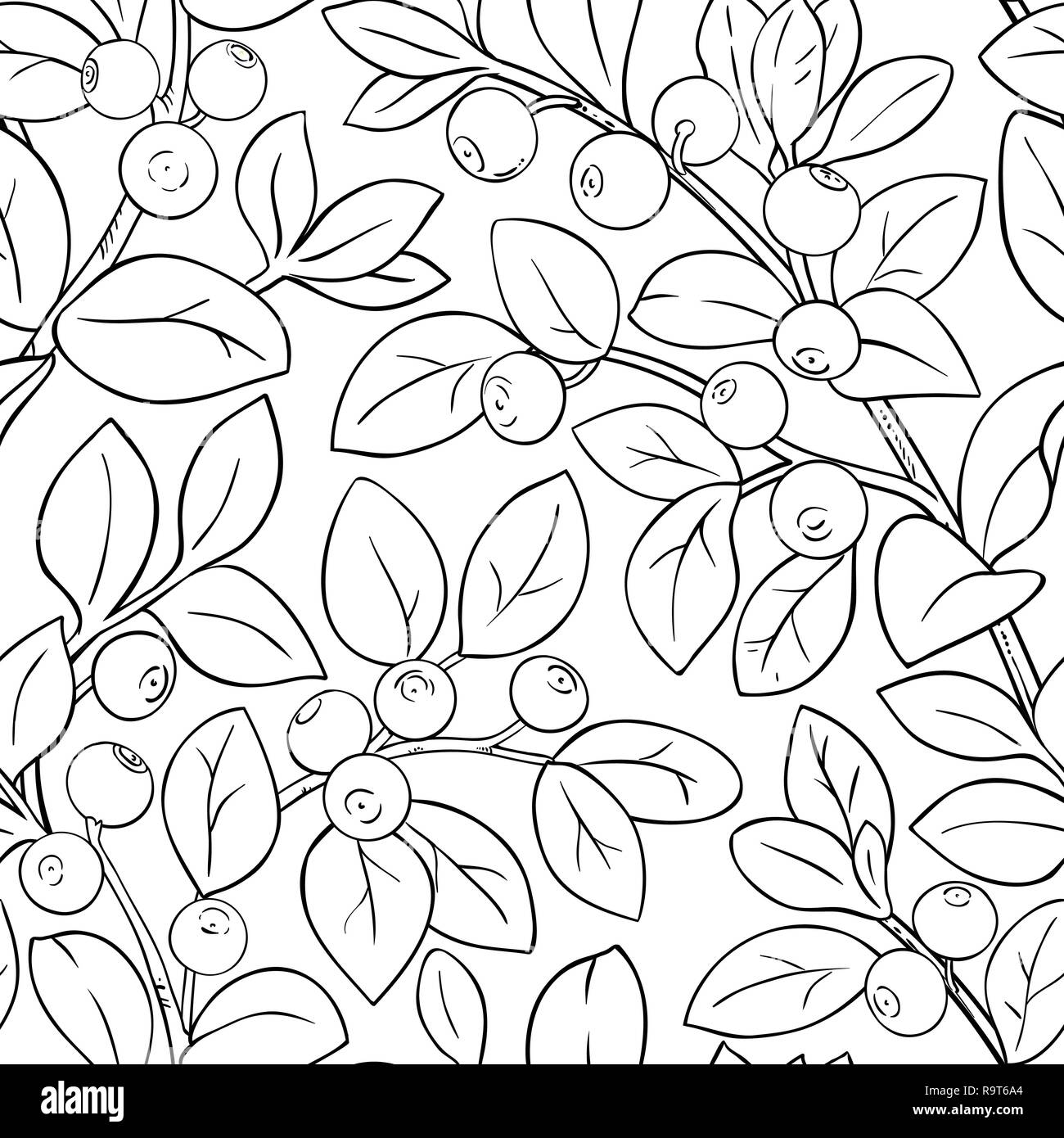 Heidelbeere vektor Muster auf weißem Hintergrund Stock Vektor