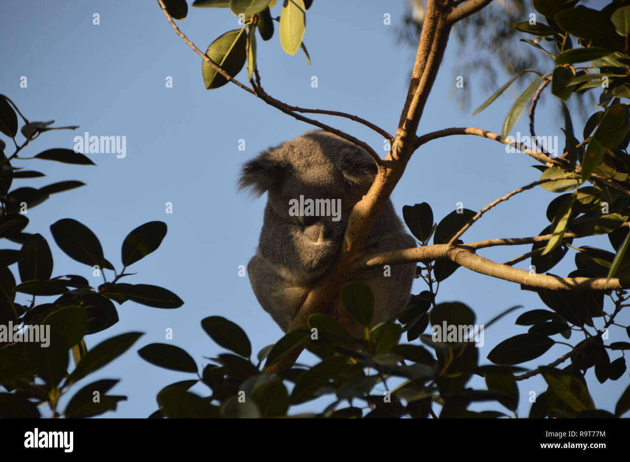 Reisen Sie um die Welt Stockfoto