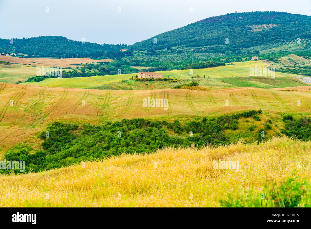 Blick auf die schöne Landschaft der Toskana mit dem hügeligen Kulturlandschaft und hohen Berg im Val d'Orcia Italien Stockfoto