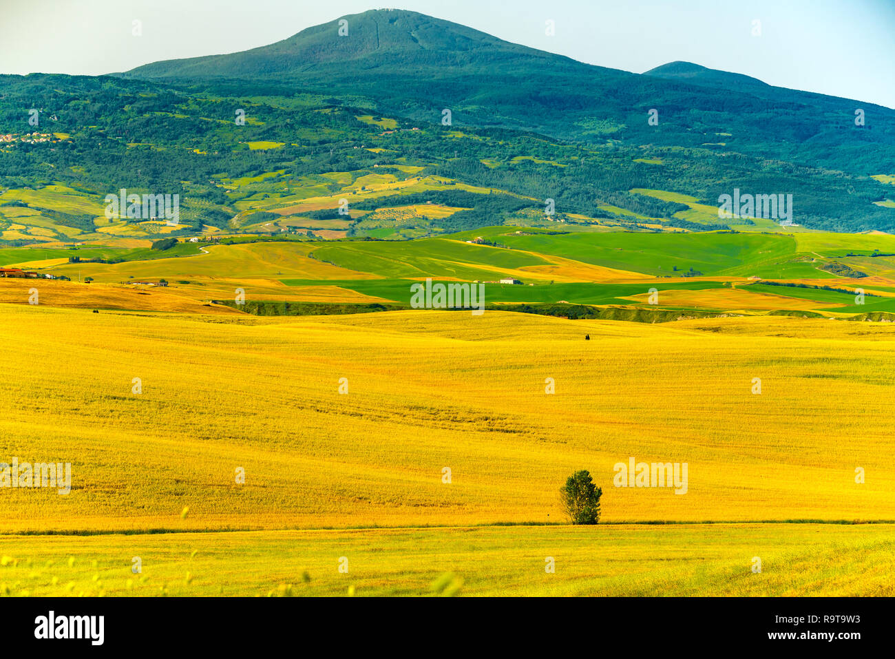 Natürliche hügelige Landschaft der Toskana mit den hohen Berg und dem kleinen Dorf der Landwirtschaft in Val d'Orcia in der Toskana Italien Stockfoto