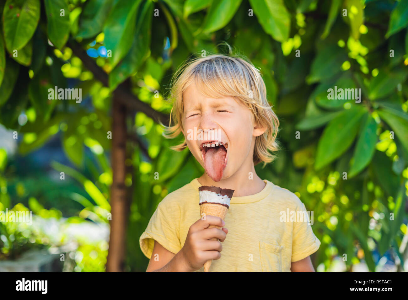 Outdoor Portrait Von Glücklichen Jungen Mit Eis In Waffeln Kegel. Niedliche  Kind Mit Eis Und Macht Freude Gesicht Beim Spaziergang Im Park  Stockfotografie - Alamy