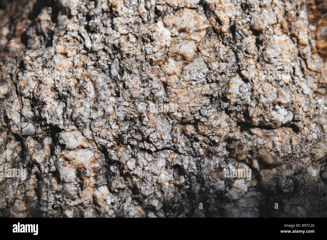 Close-up Grunge Rock texturiert mit winzigen Glitter und glänzend scharfen Stücke auf der Oberfläche. Natürliche Zusammenfassung Hintergrund. Stockfoto