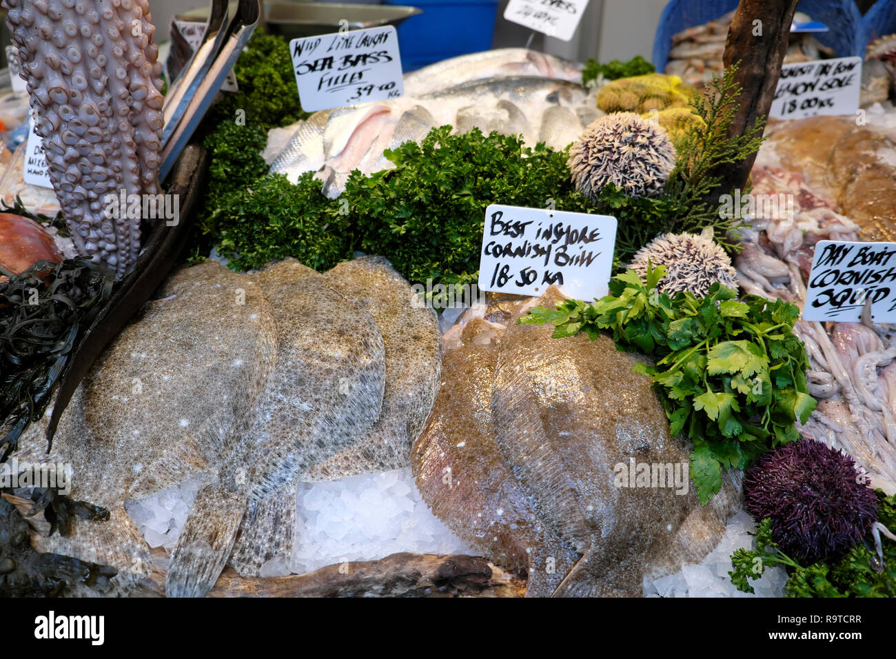 Borough Market London Fisch stall Anzeige der besten Küstennahe Cornish Brill Filets & Octopus mit Petersilie und verschiedene Meeresfrüchte in Southwark KATHY DEWITT Stockfoto