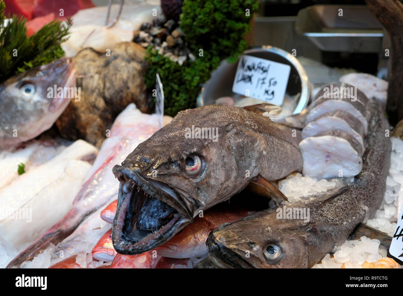 Borough Market London Fisch stall frisches Shetland Kabeljaufilet, senegalesischen Red Snapper und Seeteufel auf Eis South London England UK KATHY DEWITT Stockfoto