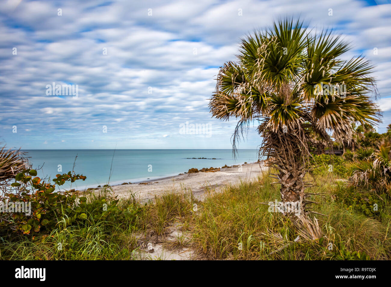 Sonnigen Tag blauer Himmel mit weißen Wolken an caspersen Beach am Golf von Mexiko in Venedig Florida Stockfoto