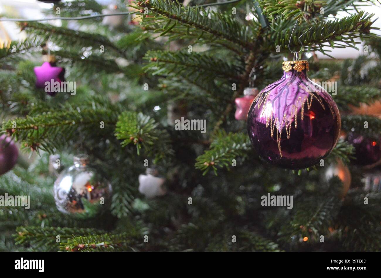 Christbaumschmuck lila und Silber Kugeln, geschmückte Tanne an den Feiertagen Stockfoto