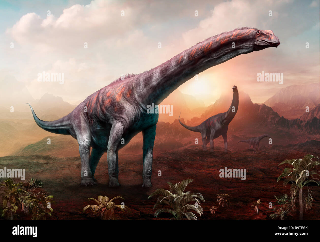 Argentinosaurus 3D-Darstellung Stockfoto