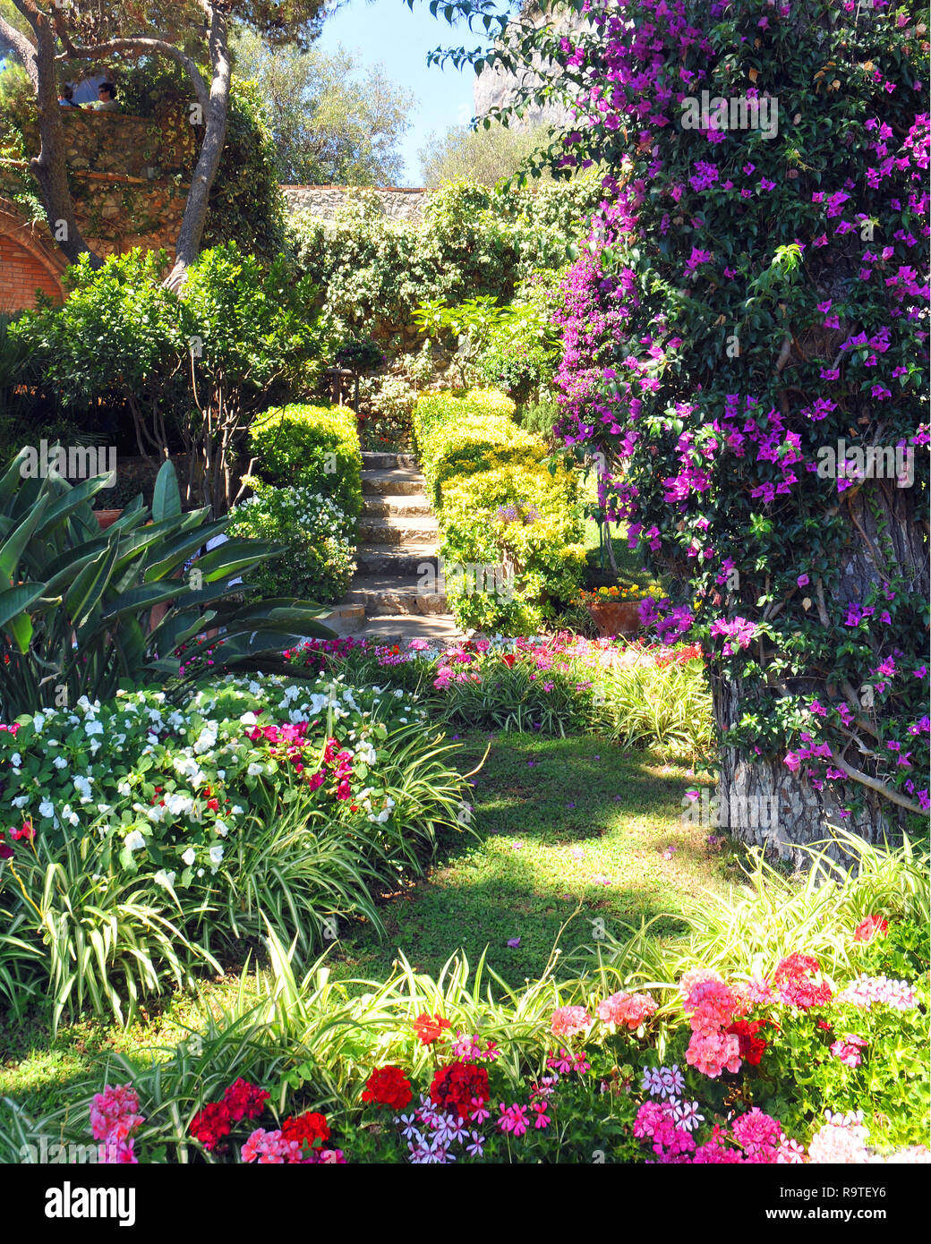 Gärten auf der Insel Capri Stockfoto