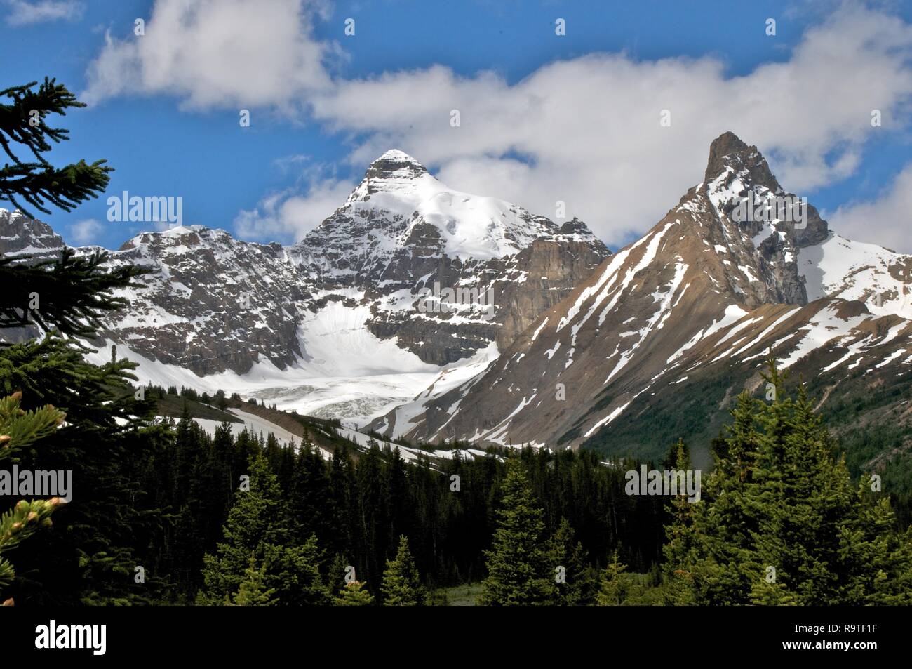 Mt. Kolumbien Kanada Stockfoto