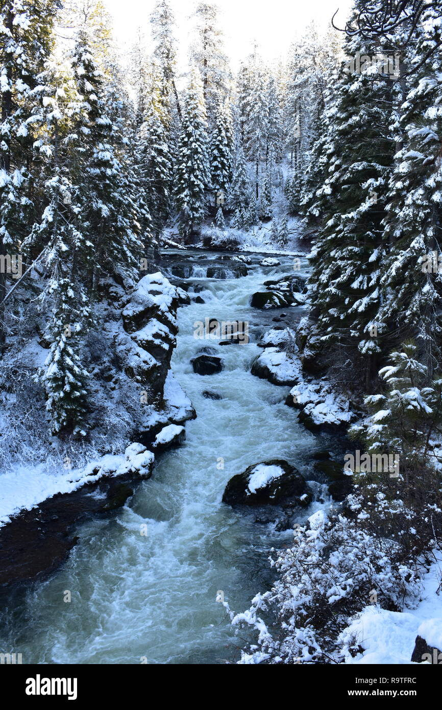 Benham Falls - Central Oregon Stockfoto