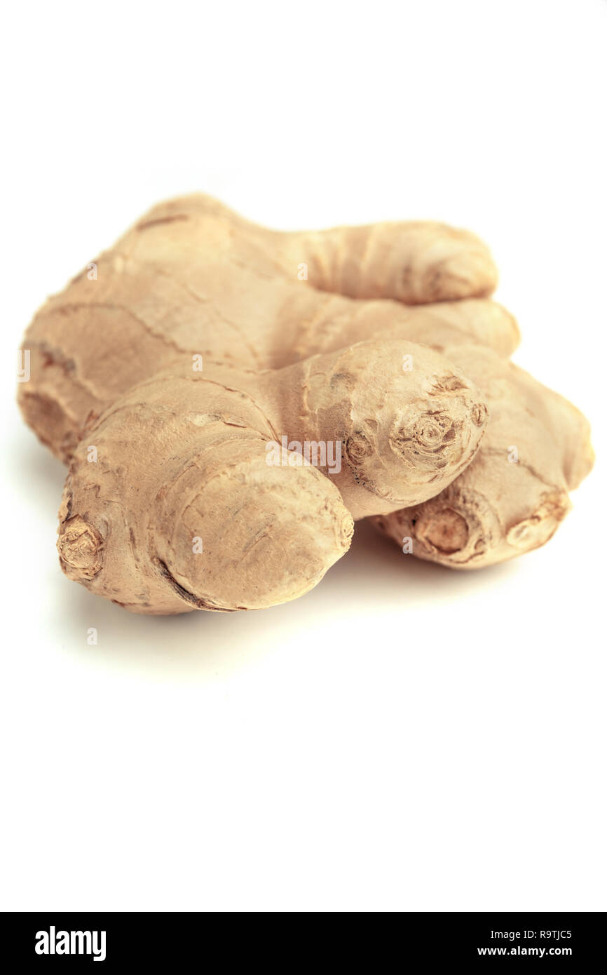 Frische Ingwerwurzel auf weißem Hintergrund. Nahaufnahme der Frische ganze Ingwer Wurzel auf weißem Hintergrund. Stockfoto