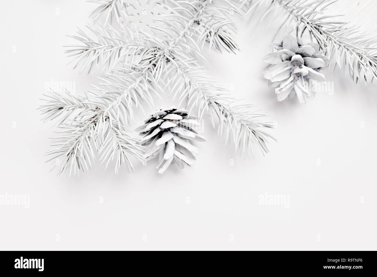 Mockup Weihnachten weiß Baum und Kegel. Flach auf einem weißen Hintergrund, aus Holz mit Platz für Ihren Text. Ansicht von oben Stockfoto