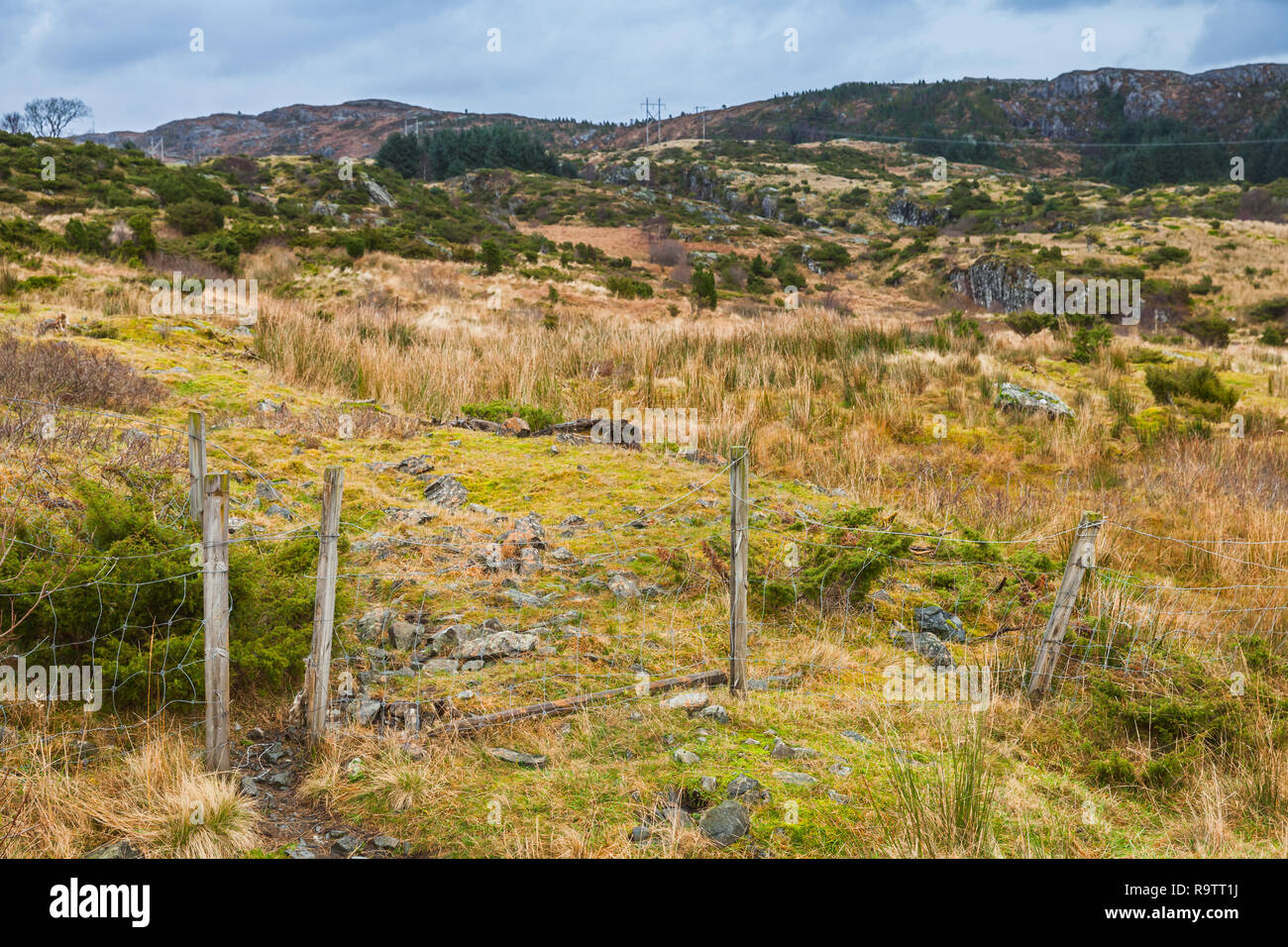 Ländliche norwegische Landschaft mit alten Zaun, Bergen Bezirk Stockfoto