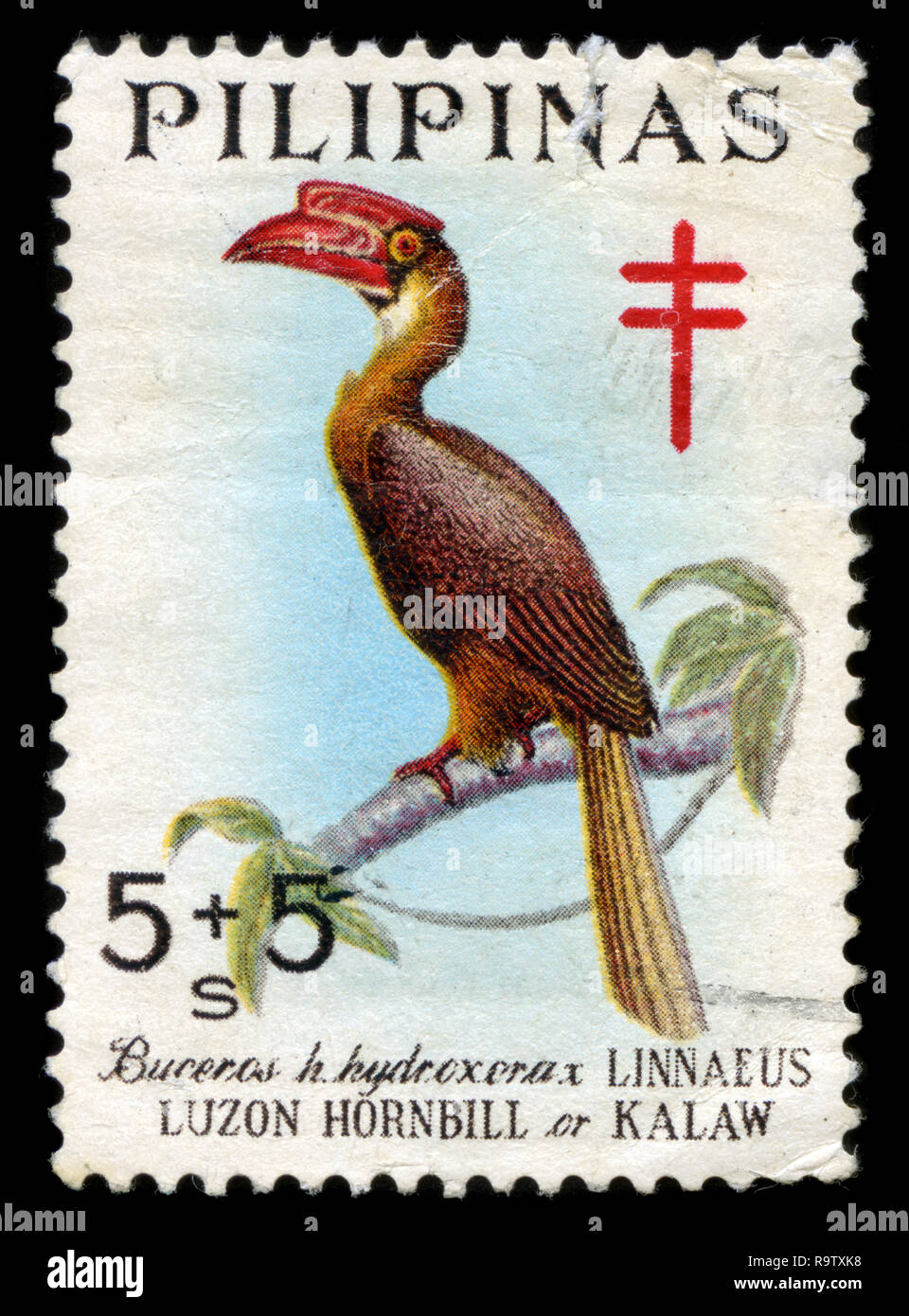 Briefmarke aus den Philippinen im Kampf gegen Tuberkulose - heimische Vögel 1967 ausgestellt Stockfoto