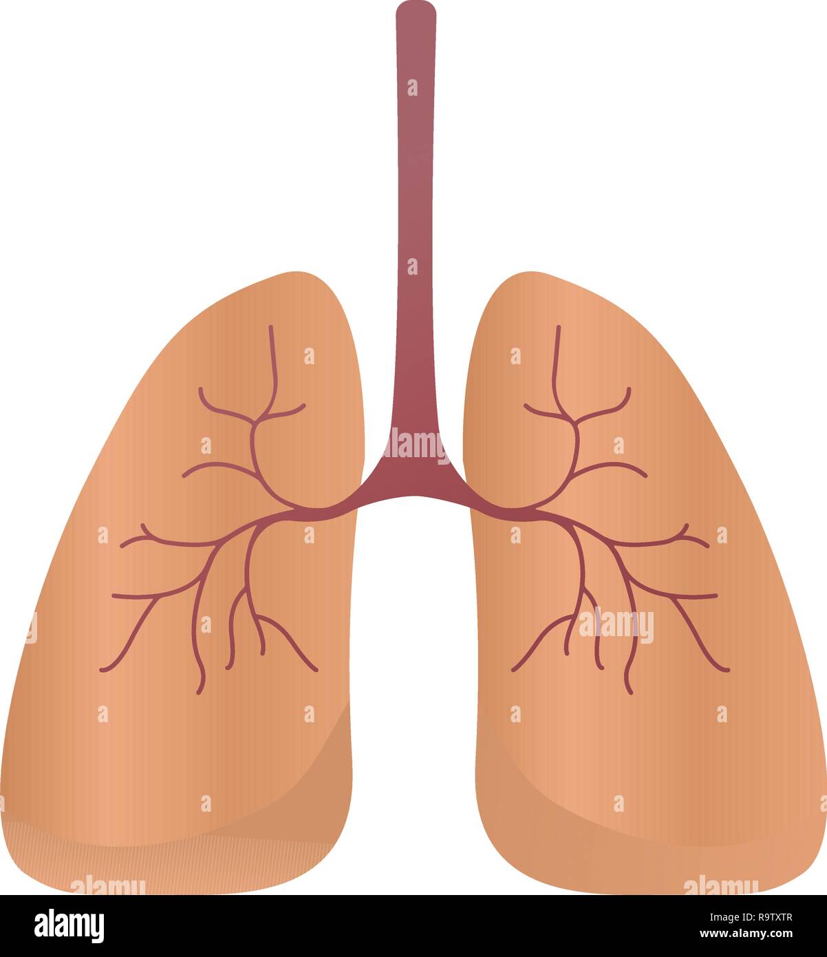 Lungen Symbol, Vektor Stil. Die inneren Organe des menschlichen Element der Gestaltung, Logo. Anatomie, Medizin Konzept. Healthcare. Auf weissem Hintergrund. Vector Illustration Stock Vektor