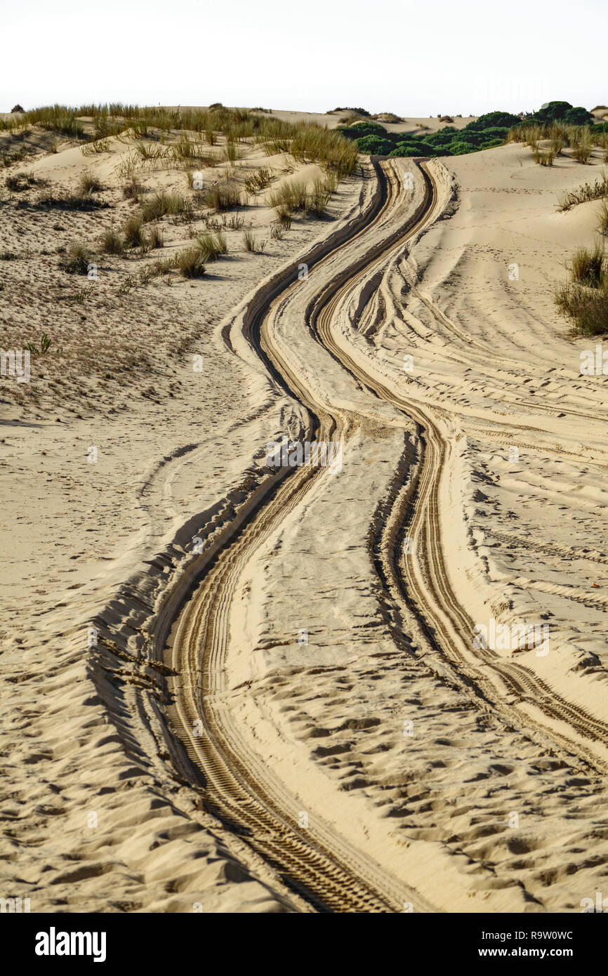 Rad Marken über den Sand der Wüste bis unendlich Stockfoto