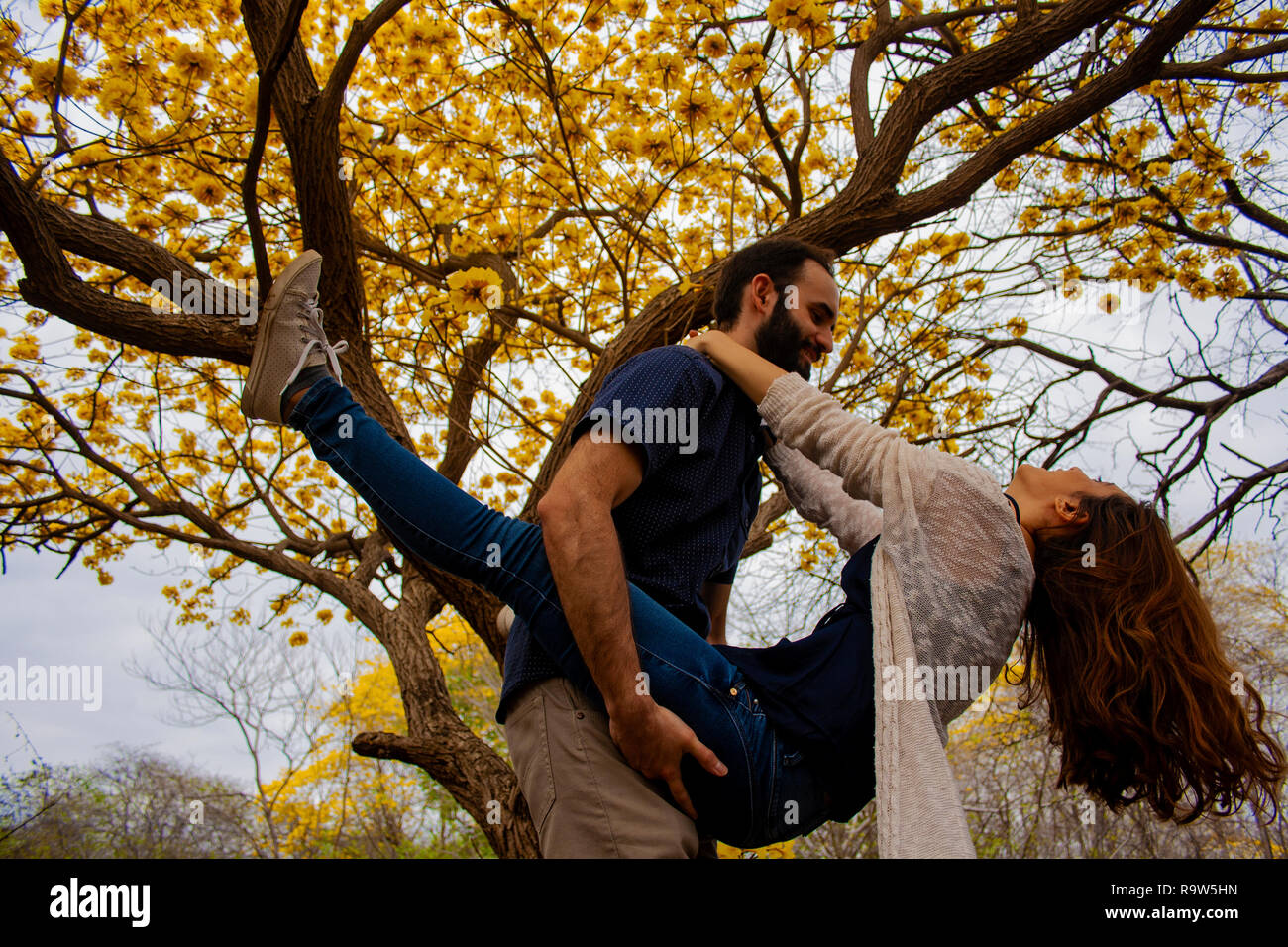 Liebhaber auf einem Baum Stockfoto