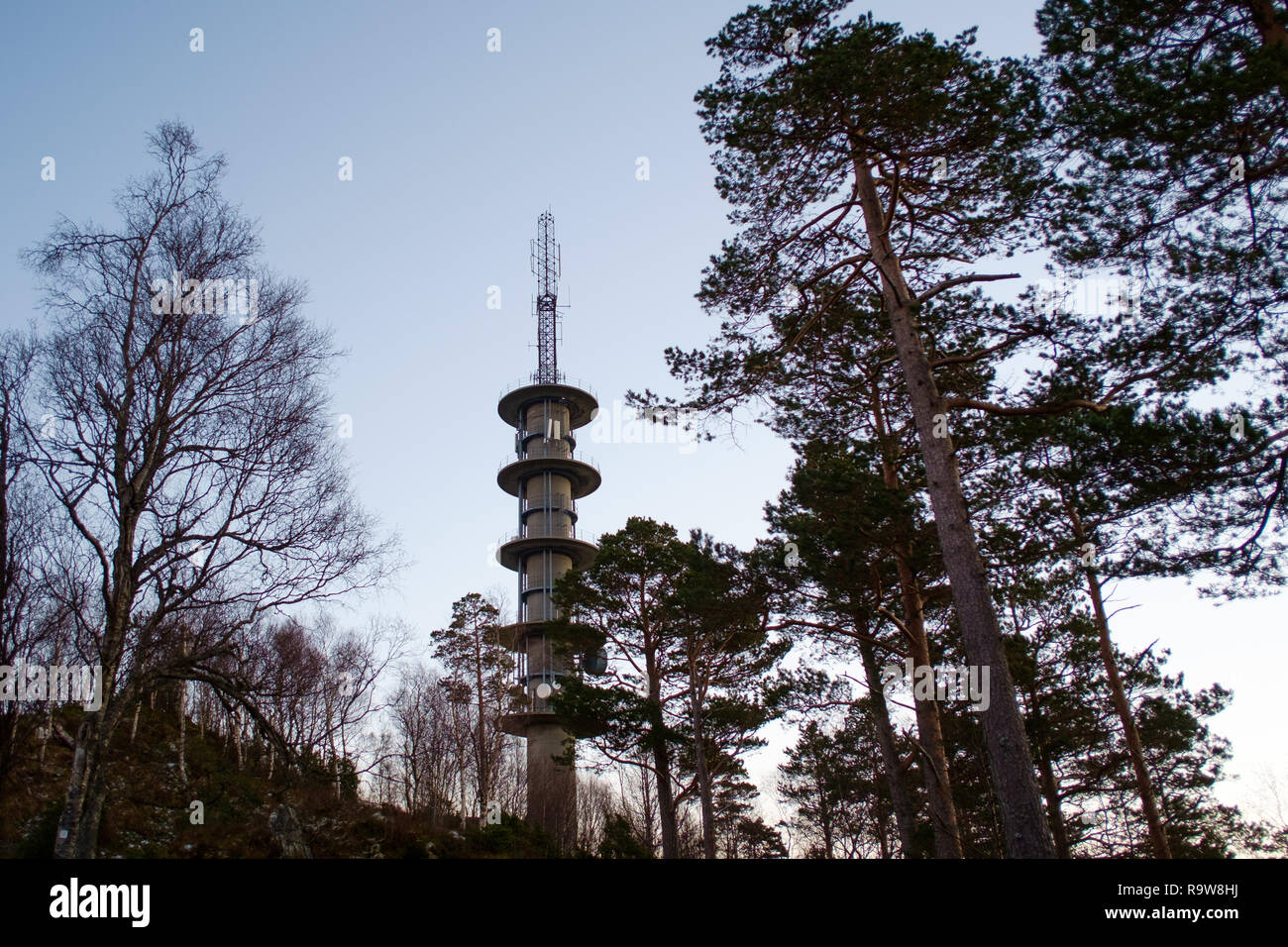 Fernsehturm von Bäumen auf dem Berg oben in Norwegen umgeben Stockfoto