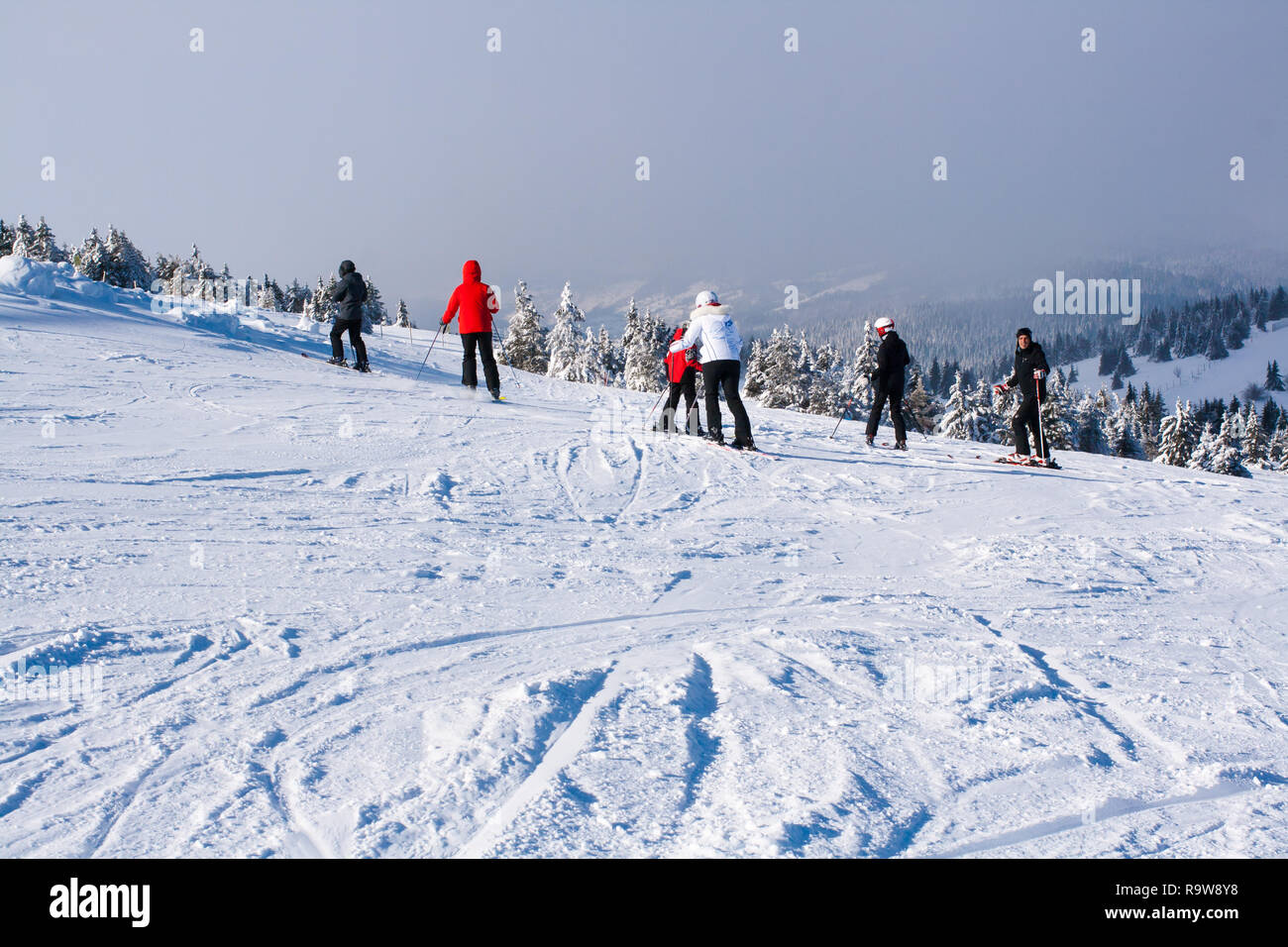 Kopaonik, Serbien - Januar 22, 2016: Ski Resort und Skipiste, Leute unten Ski den Hügel, Berge, Nebel Stockfoto