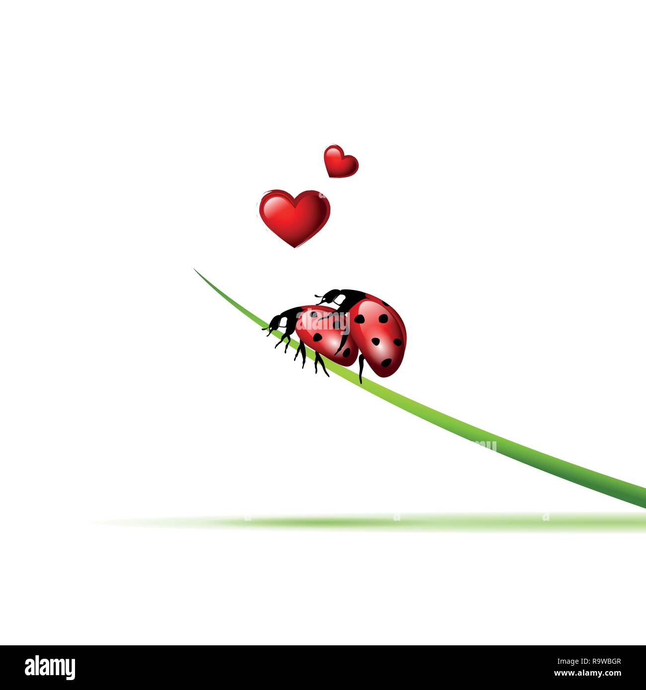 Zwei Marienkäfer machen Liebe auf einem Grashalm Vektor-illustration EPS 10. Stock Vektor