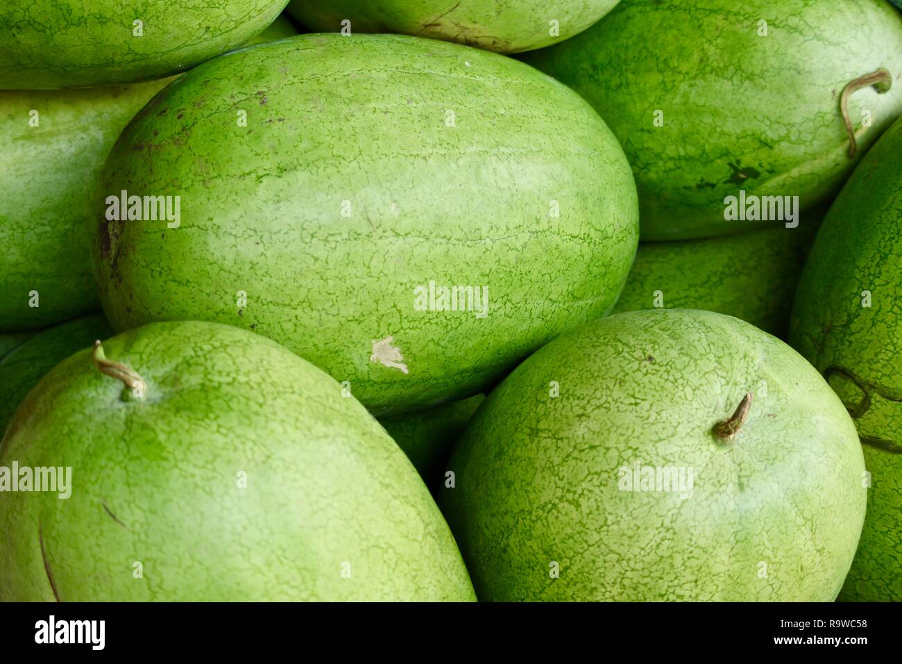 Frisches Grün Wassermelonen zu verkaufen für einen Bauernmarkt in Belize Stockfoto