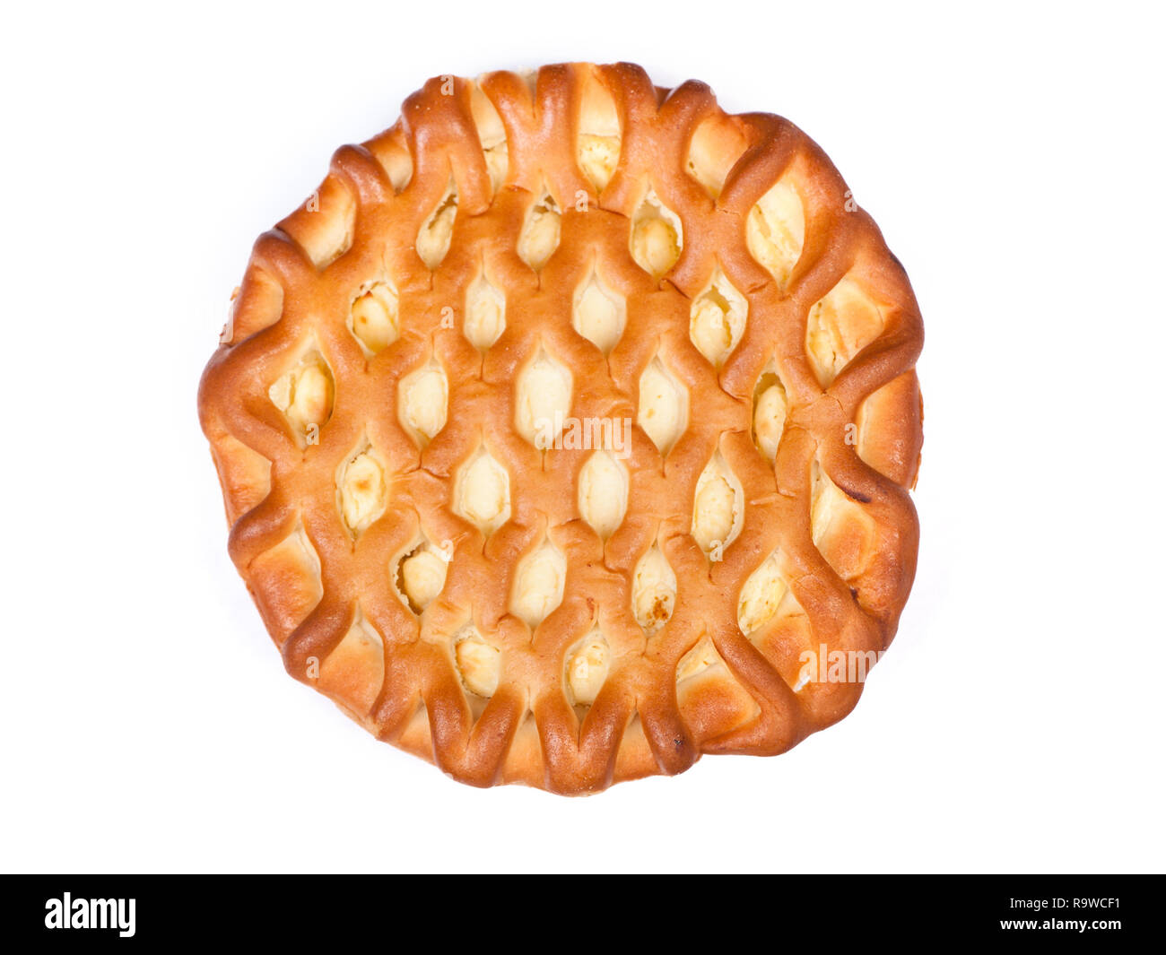 Großes Cottage cheese Pie isoliert auf weißem Stockfoto