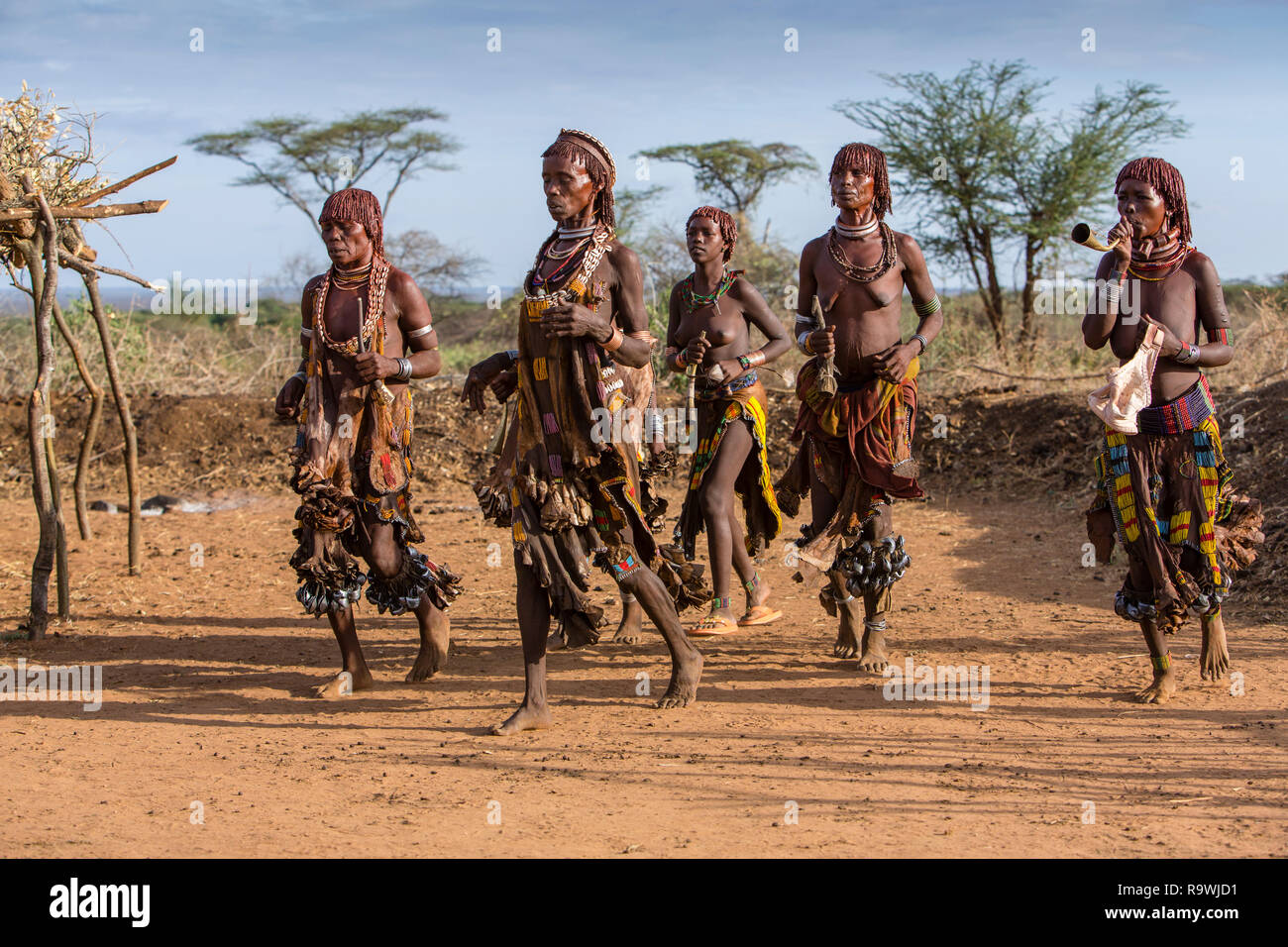 Hamar Stamm Zeremonie der Omo Valley, Äthiopien Stockfoto