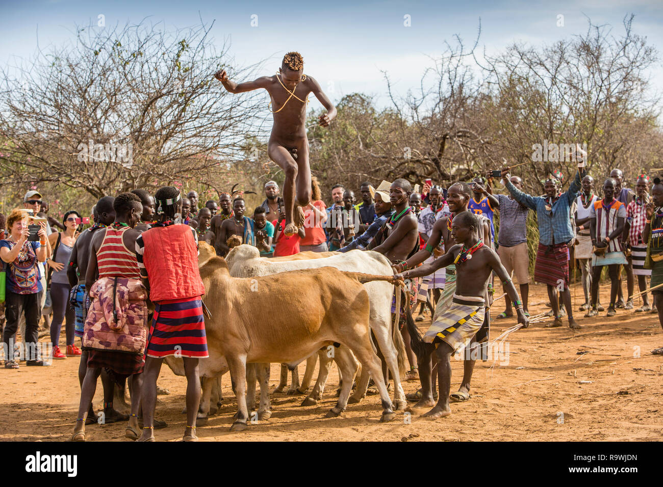 Hamar Stamm Stier springen Zeremonie der Lojira Dorf in Omo Valley, Äthiopien Stockfoto