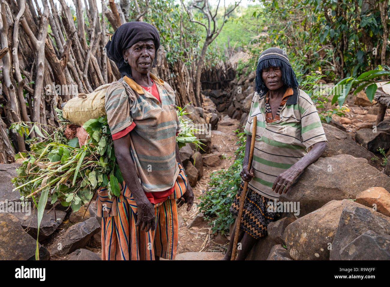 Konso Stammes Dorf Omo Valley, Äthiopien Stockfoto