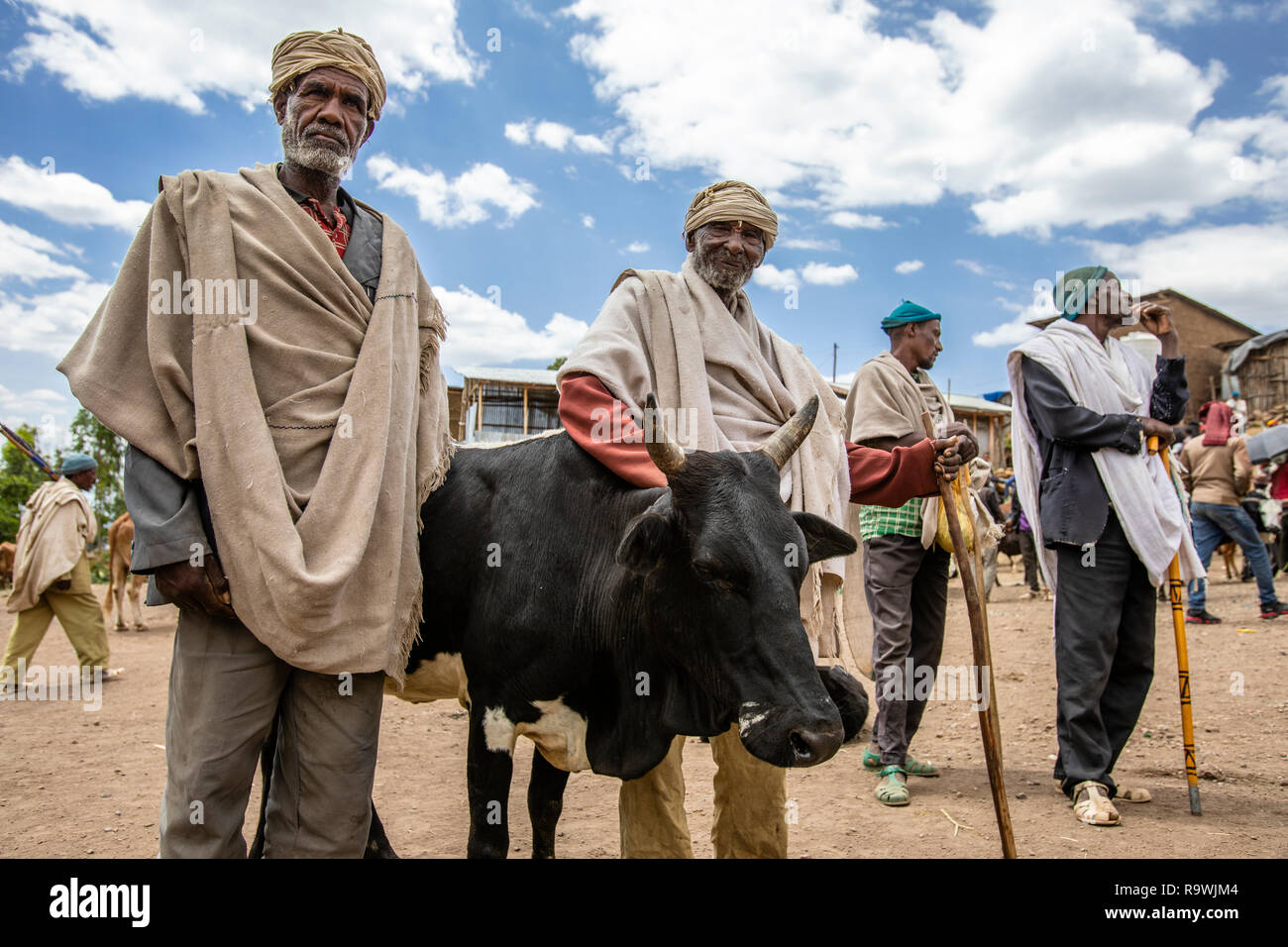 Lalibela Viehmarkt in Äthiopien Stockfoto
