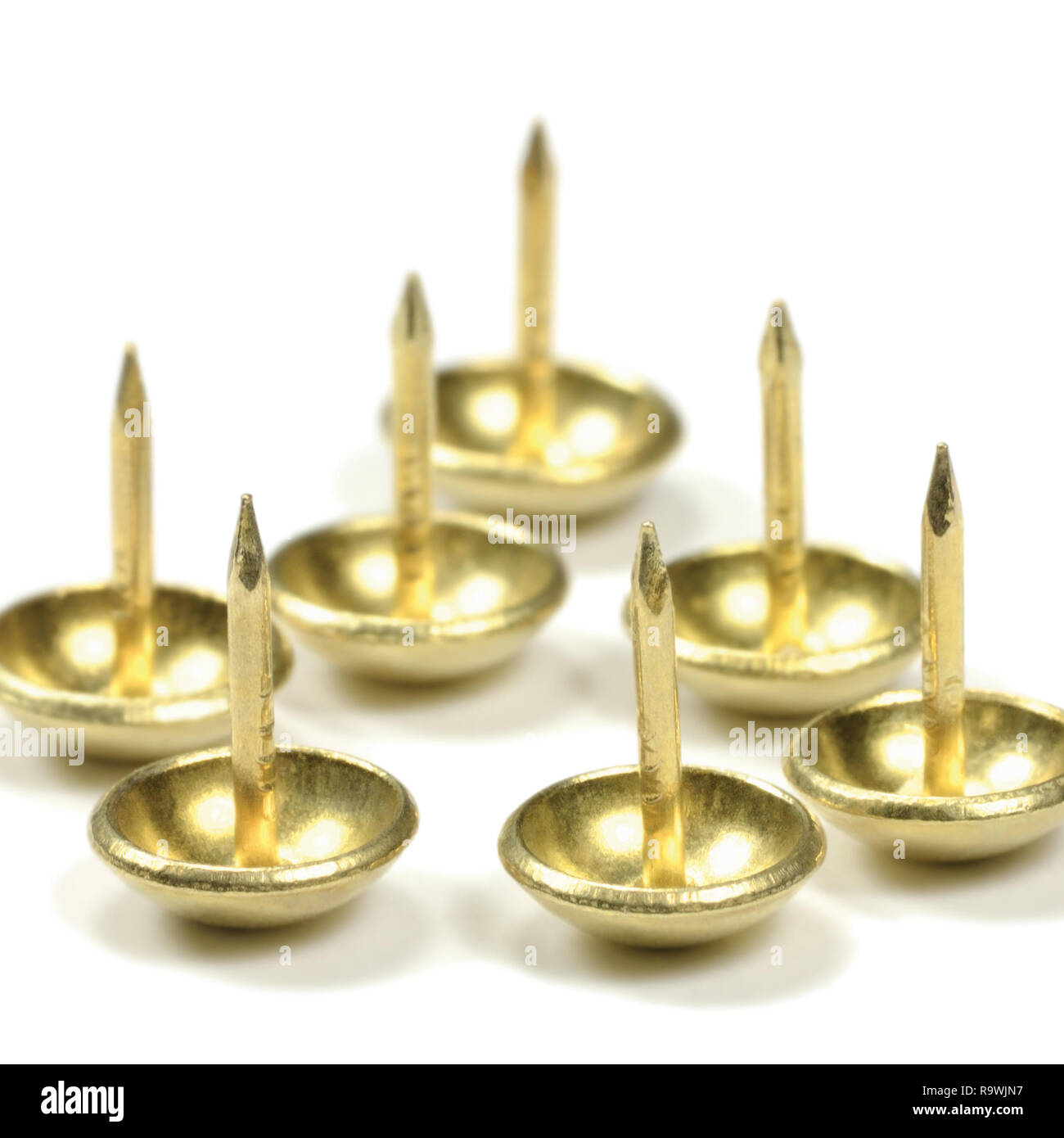 Glattes Erz Polsterung Reißnägel, Französische natürliche Möbel Nägel, glänzendes Goldgelb Stil, große Detaillierte isoliert Makro Nahaufnahme Studio Shot Stockfoto