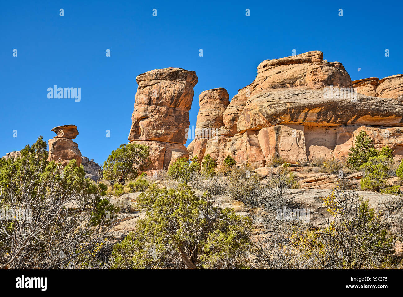 Felsformationen in der Colorado National Monument Park, Colorado, USA. Stockfoto