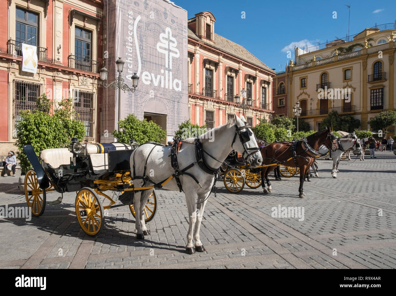 Beliebte touristische Ort mit Pferdewagen in Plaza Virgen de los Reyes, Sevilla, Spanien Stockfoto